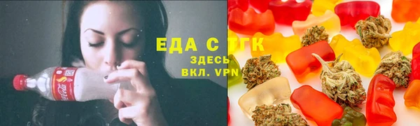 МДПВ Гусев