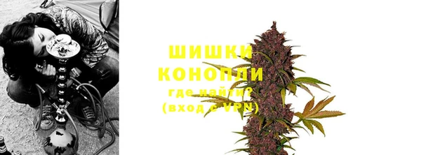 spice Гусиноозёрск