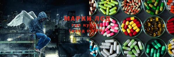 spice Гусиноозёрск