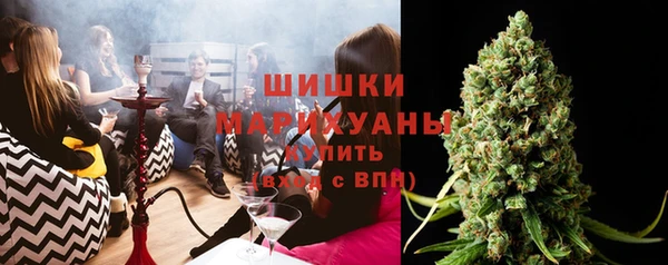 spice Гусиноозёрск