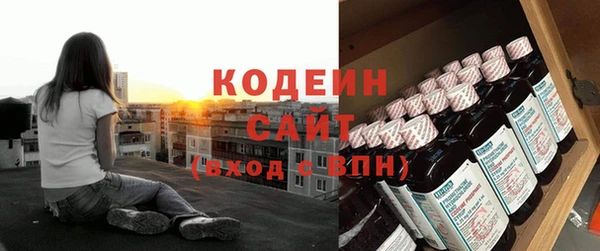 МДПВ Гусев