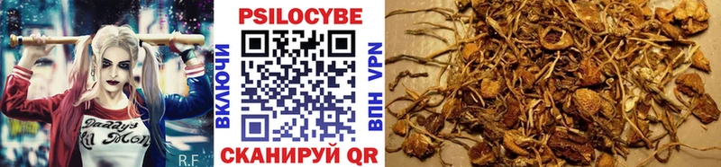 Псилоцибиновые грибы MAGIC MUSHROOMS  Уфа 